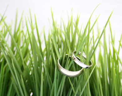 wedding-rings-on-grass.jpg